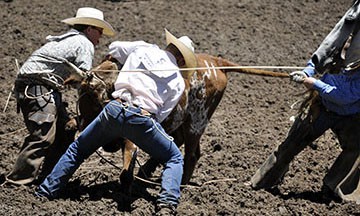 2010-rodeo 059