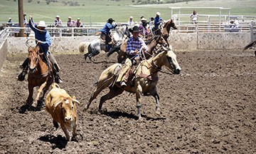 2010-rodeo 070