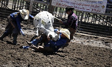 2010-rodeo 074