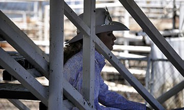 2010-rodeo 095