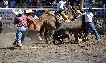 2010-rodeo 122