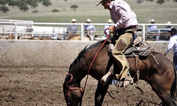 2010-rodeo 129
