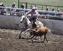 2010-rodeo_025