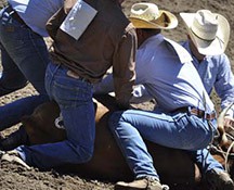 2010-rodeo_042