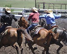 2010-rodeo_048