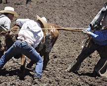 2010-rodeo_059