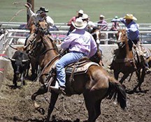 2010-rodeo_061