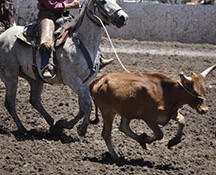 2010-rodeo_063
