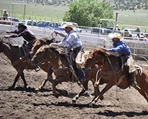 2010-rodeo_065