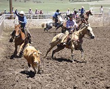 2010-rodeo_070
