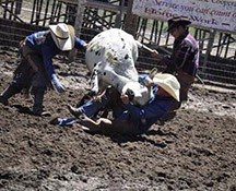 2010-rodeo_074