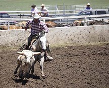 2010-rodeo_080