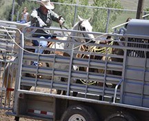 2010-rodeo_091