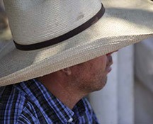 2010-rodeo_094