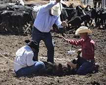 2010-rodeo_105