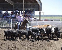 2010-rodeo_110