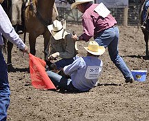 2010-rodeo_114