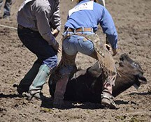 2010-rodeo_117