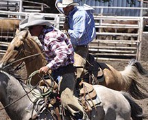 2010-rodeo_119