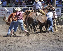 2010-rodeo_121