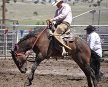 2010-rodeo_127