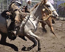 2010-rodeo_136