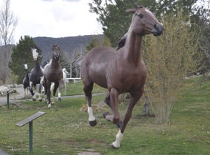 ruidoso-bywaycenter-077