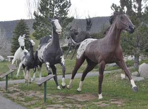 ruidoso-bywaycenter-080