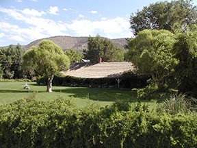 P8123966